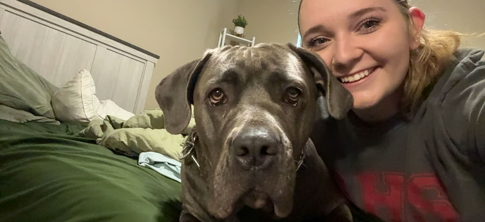 Maddi and her Cane Corso, Halo